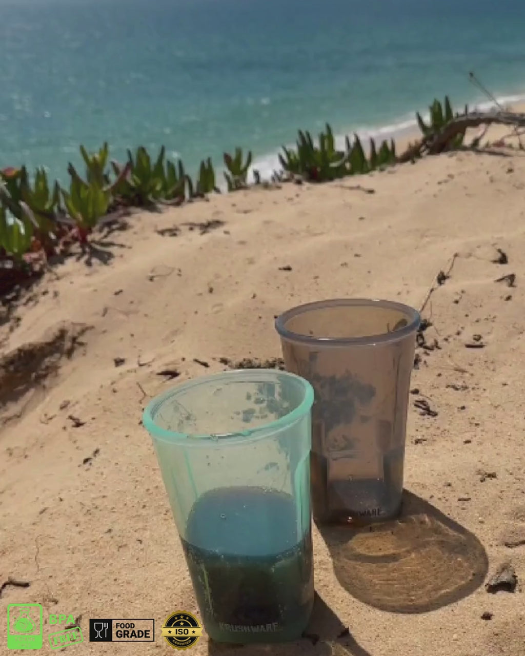 Pint (Lid + Straw)